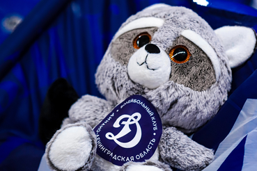 Спортсмены «Динамо-ЛО» провели мастер-класс для детей из ресурсного центра