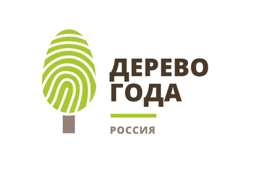 Ленинградская область – участник конкурса Российское дерево года 2021