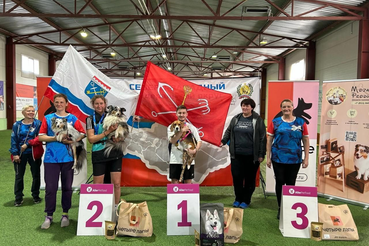Хвостатые чемпионы Ленобласти покорили арену аджилити