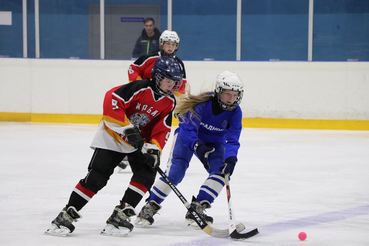 Хоккей, футбол и карате: спортивные выходные в Ленинградской области