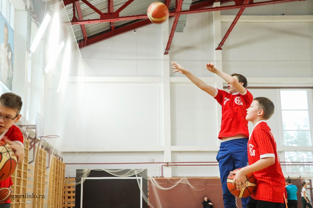 Федерации спорта ленинградской области. Лин проект спорт.